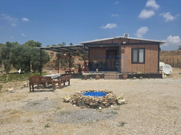 Olive Farm Camlica Gecitkale, North Cyprus Properties for Sale
