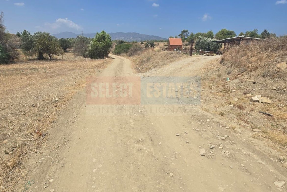 Olive Farm Camlica Gecitkale, North Cyprus Properties for Sale