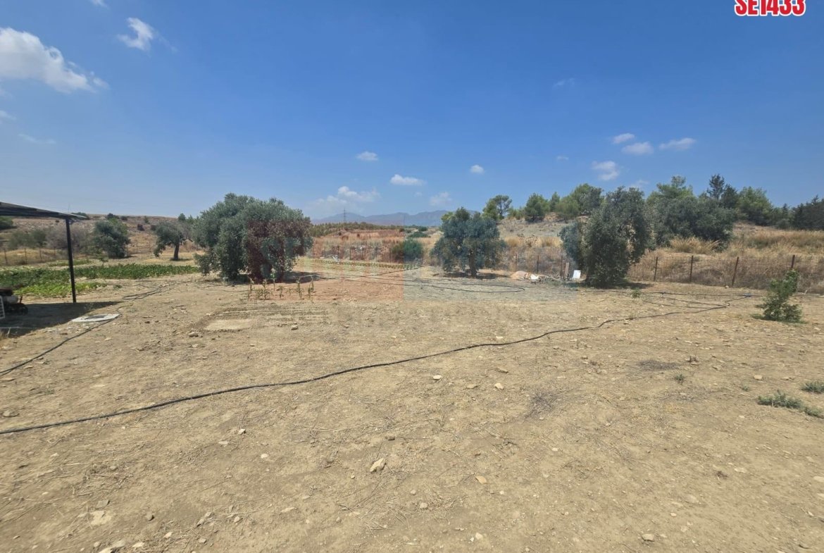 Olive Farm Camlica Gecitkale, North Cyprus Properties for Sale