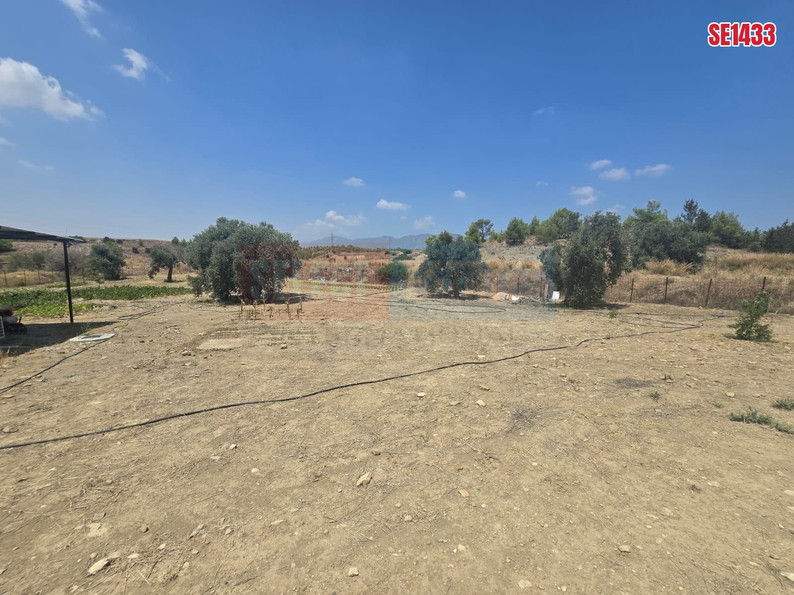 SE1433_5b184b1a9e8d Olive Farm Camlica Gecitkale, North Cyprus Properties for Sale