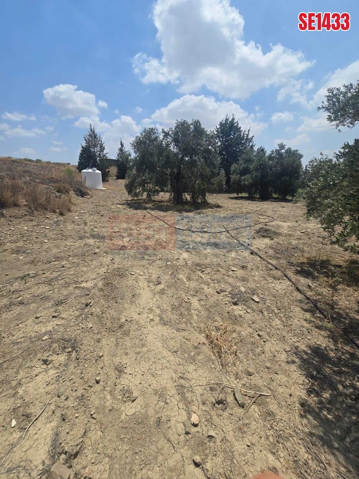SE1433_78316892eab2 Olive Farm Camlica Gecitkale, North Cyprus Properties for Sale