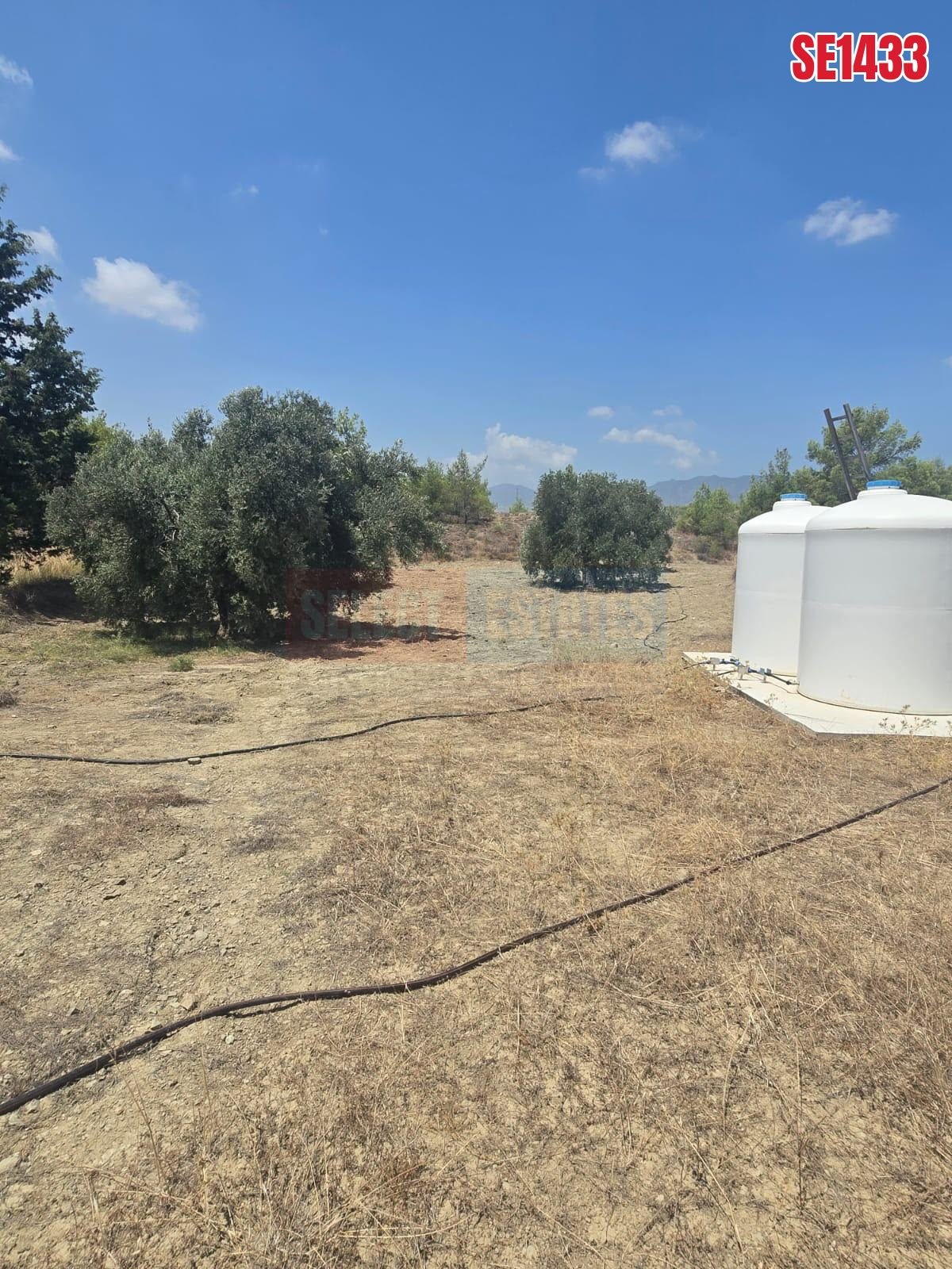 SE1433_78c8839213ec Olive Farm Camlica Gecitkale, North Cyprus Properties for Sale