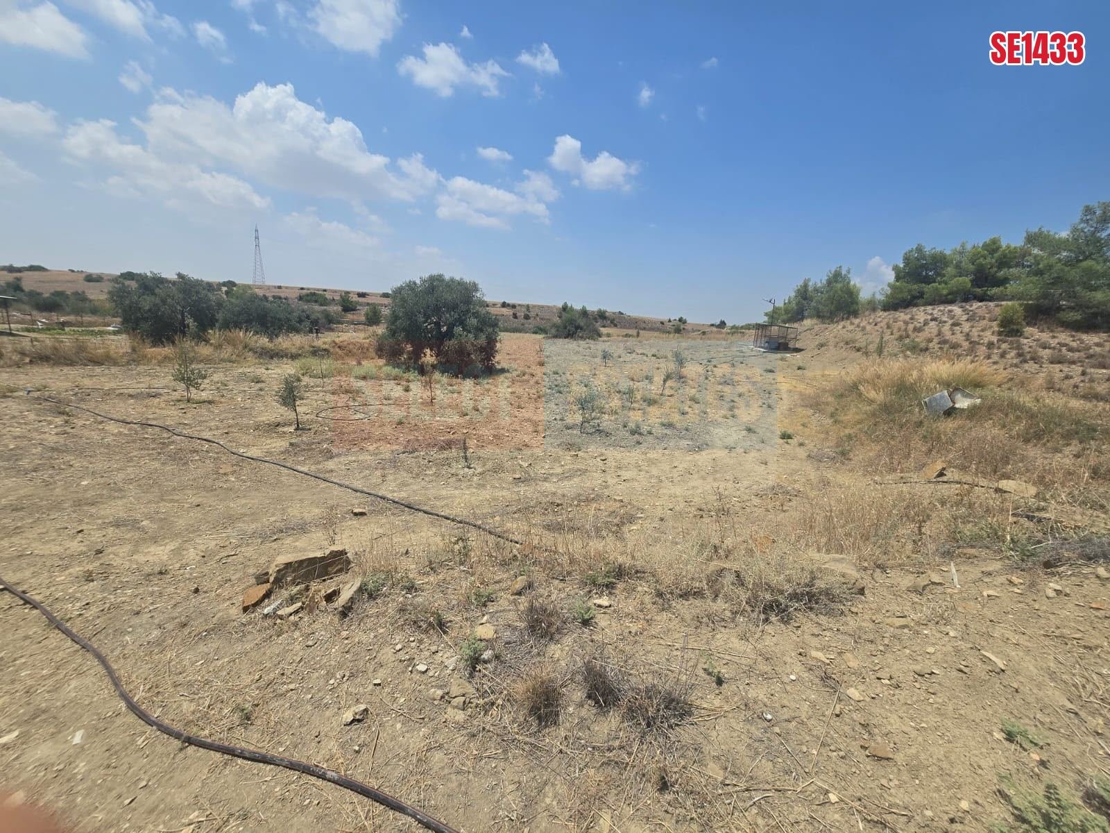 SE1433_8075a9f63e5f Olive Farm Camlica Gecitkale, North Cyprus Properties for Sale