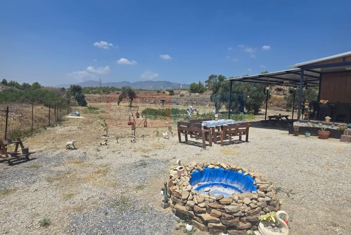 Olive Farm Camlica Gecitkale, North Cyprus Properties for Sale