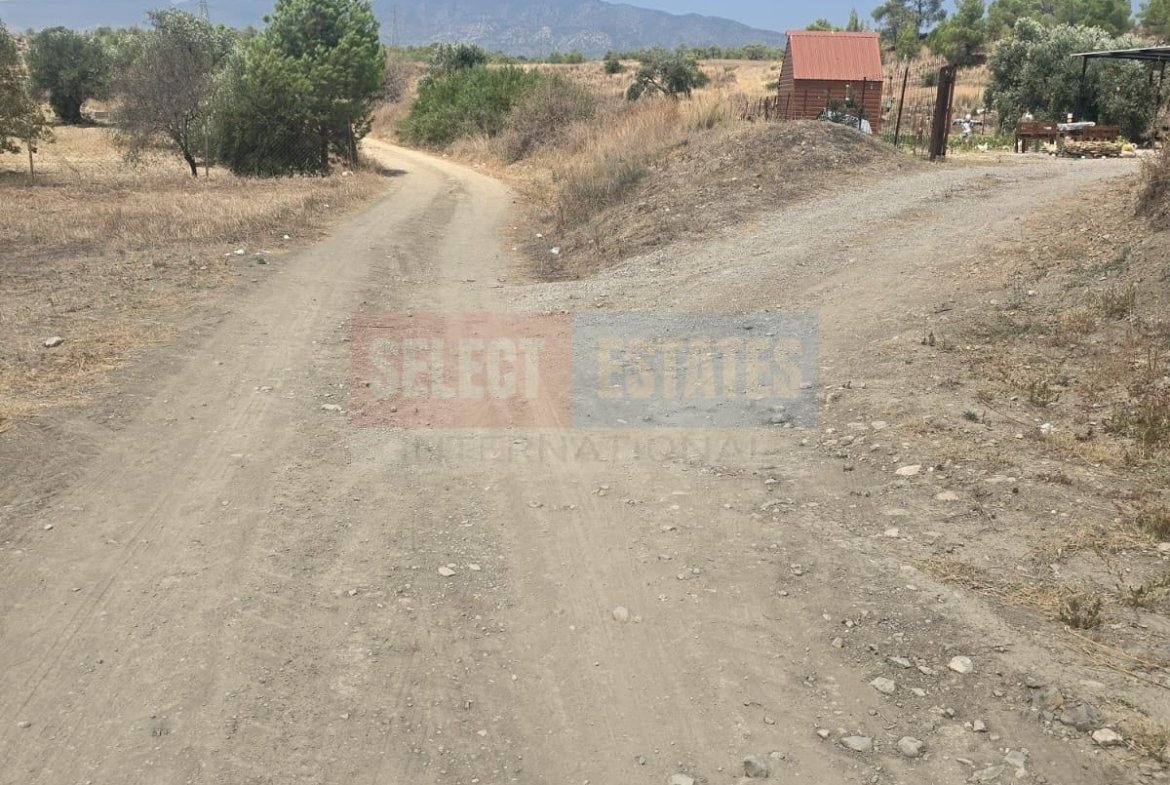Olive Farm Camlica Gecitkale, North Cyprus Properties for Sale