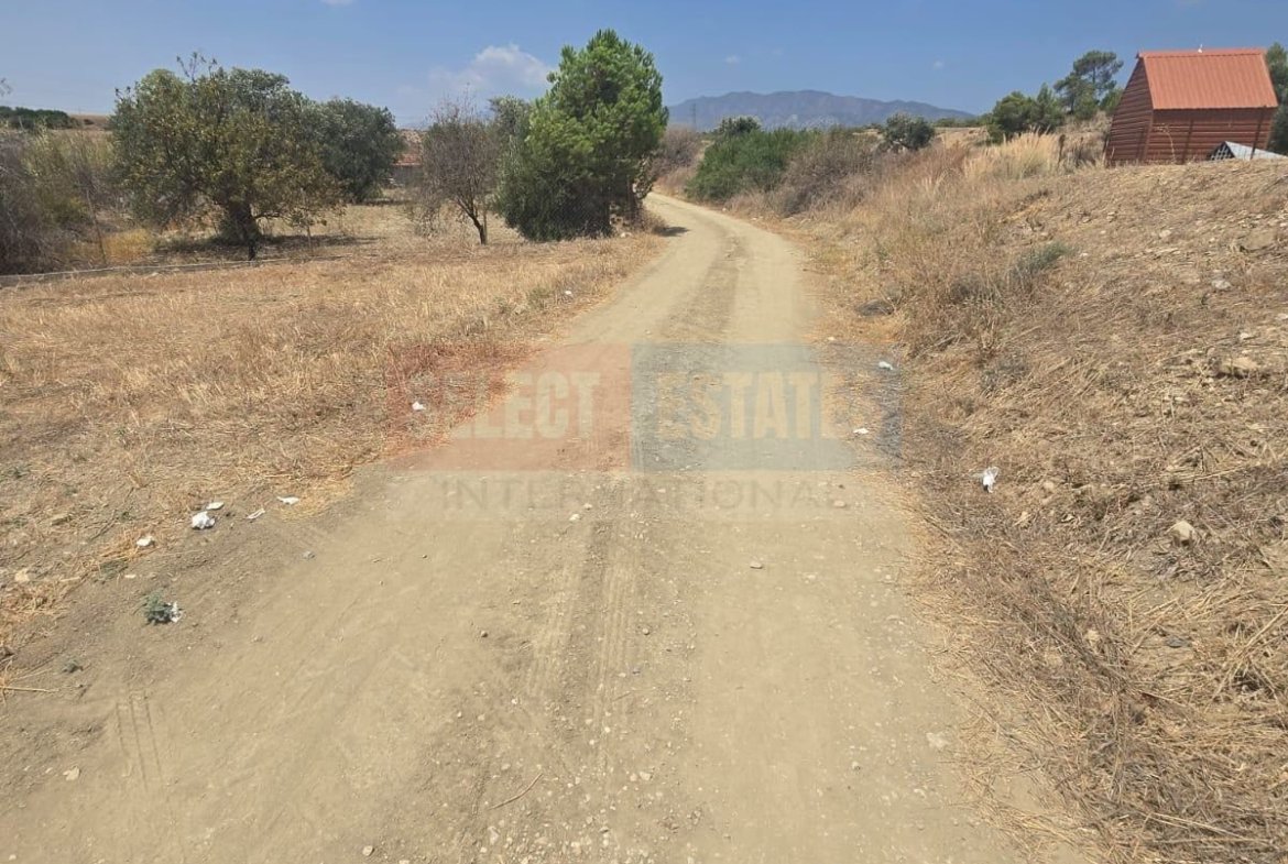 Olive Farm Camlica Gecitkale, North Cyprus Properties for Sale
