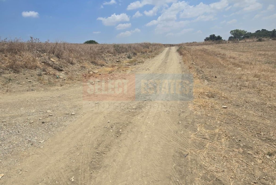 Olive Farm Camlica Gecitkale, North Cyprus Properties for Sale