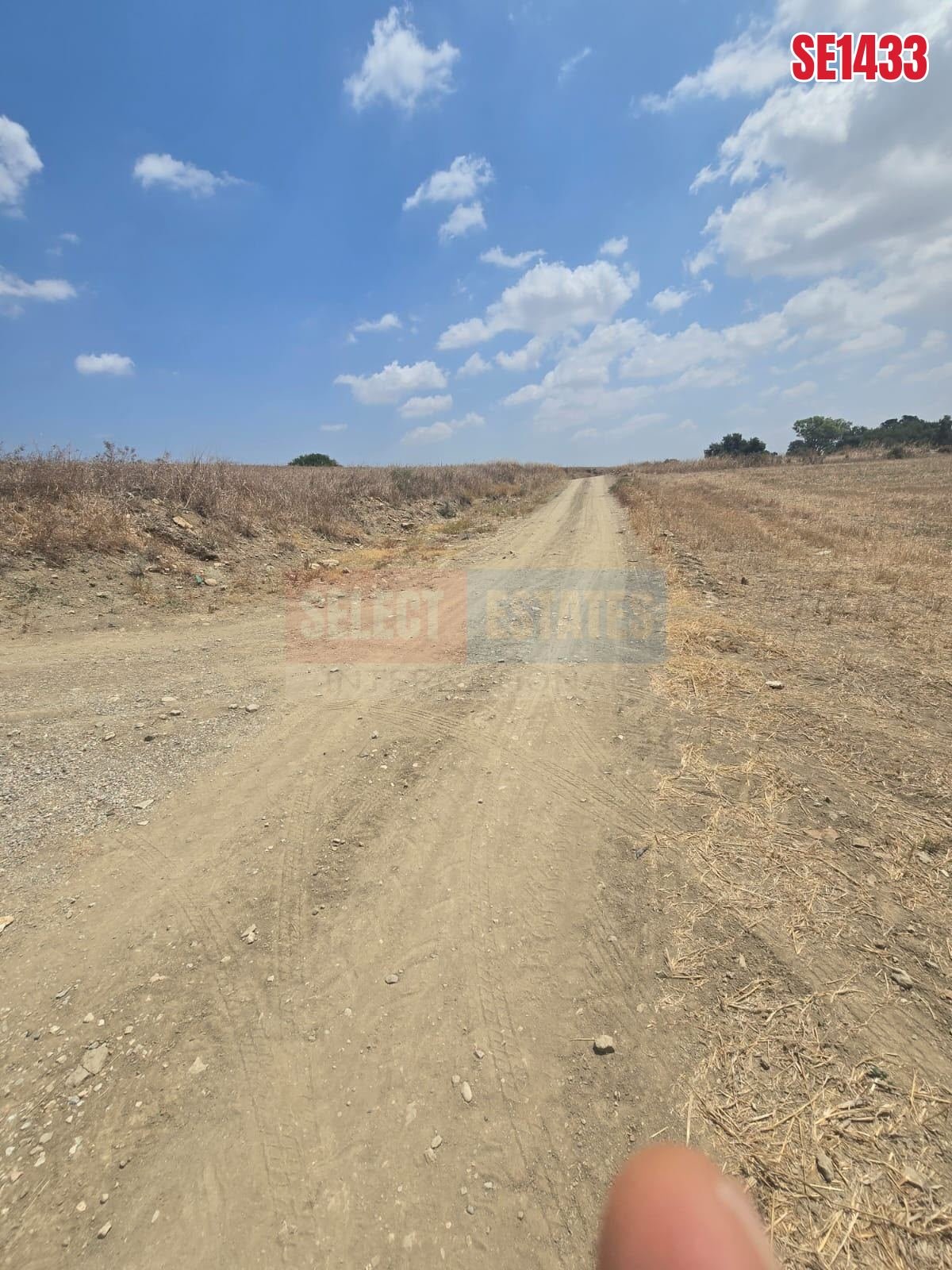 SE1433_b26276110676 Olive Farm Camlica Gecitkale, North Cyprus Properties for Sale