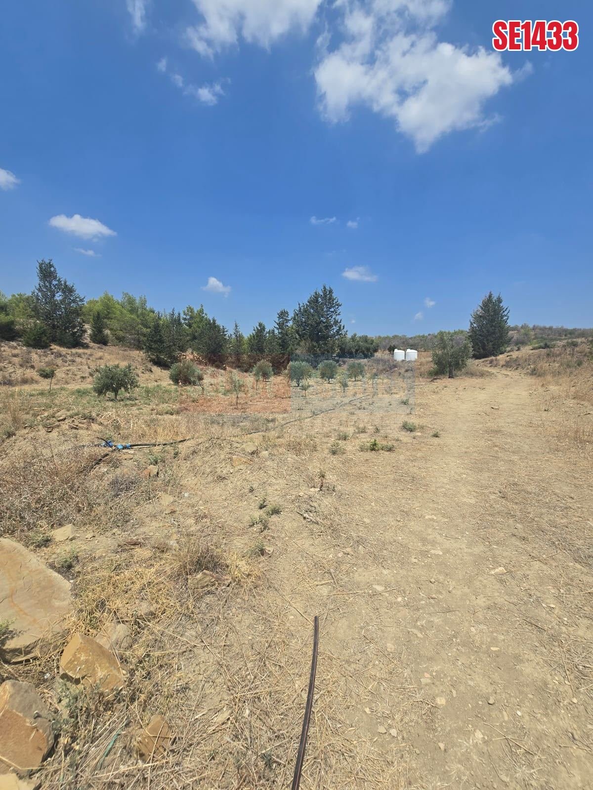 SE1433_b7e7ed19c1a8 Olive Farm Camlica Gecitkale, North Cyprus Properties for Sale