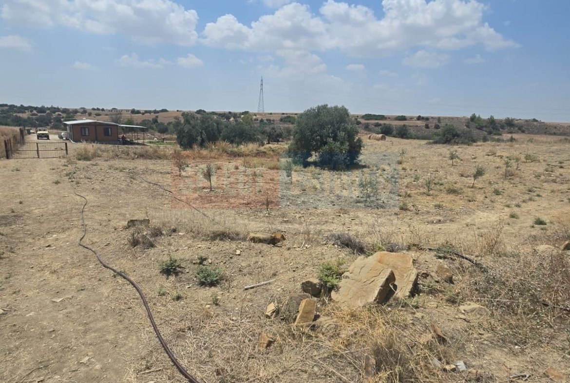 Olive Farm Camlica Gecitkale, North Cyprus Properties for Sale