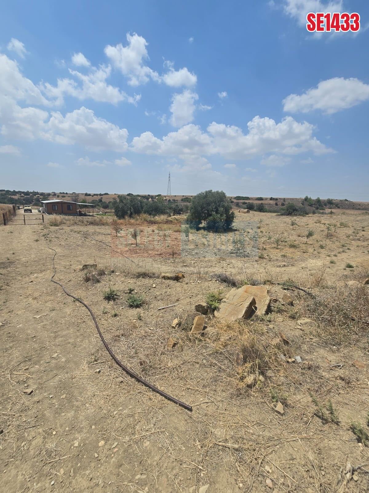SE1433_c7391a53fce7 Olive Farm Camlica Gecitkale, North Cyprus Properties for Sale