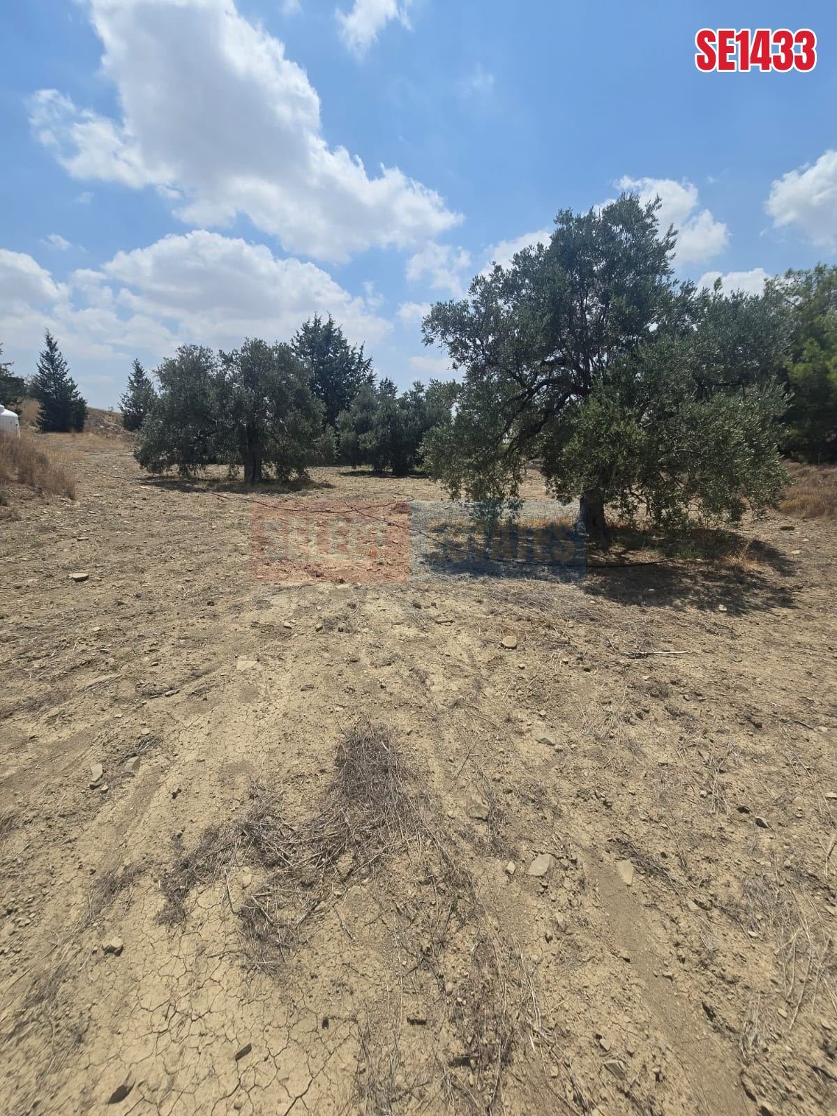 SE1433_eb68bc177971 Olive Farm Camlica Gecitkale, North Cyprus Properties for Sale