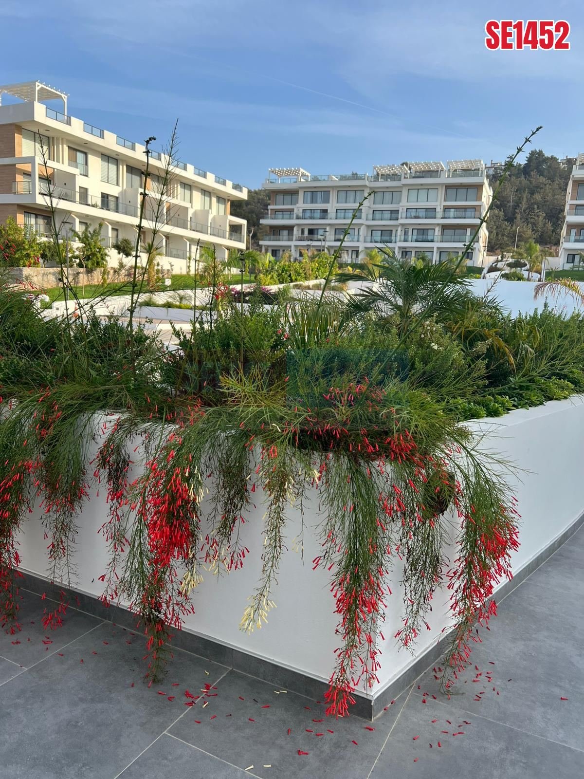 Furnished Villa Caesar Cliff Esentepe, North Cyprus Properties for Rent