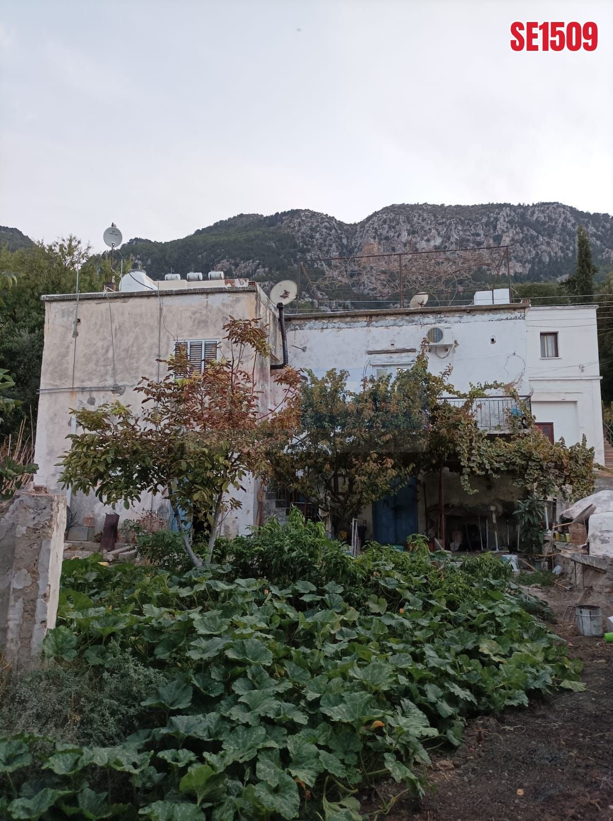 SE1509_cb02b25e2f61 Residential Plot, Lapta, Girne, North Cyprus Properties for Sale