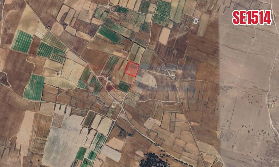 Large Residential Land, Yayla, Güzelyurt, North Cyprus Properties for Sale