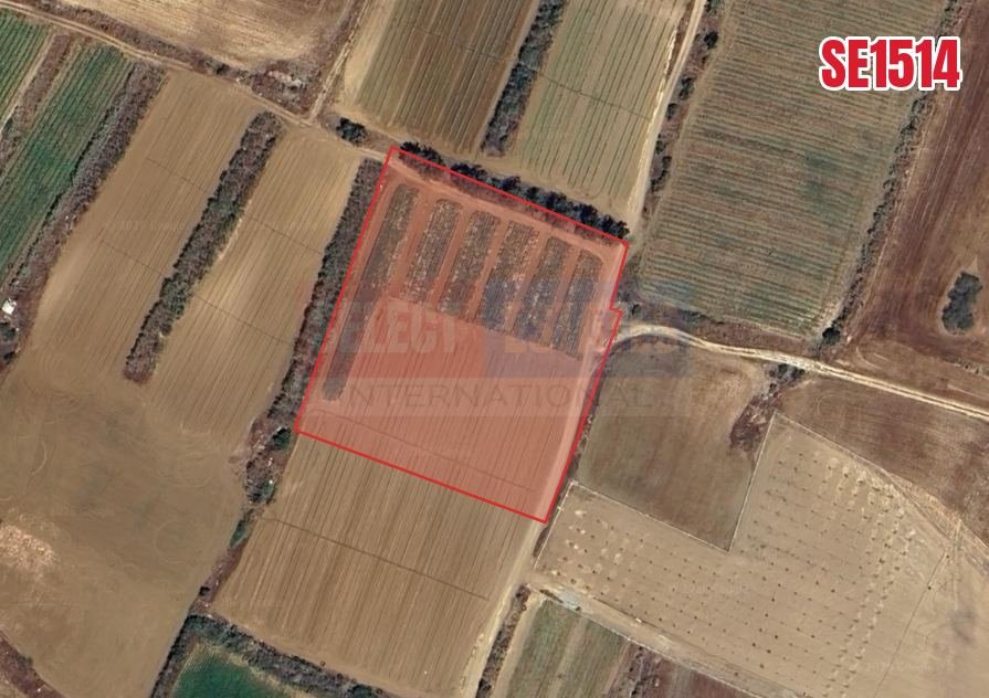 Large Residential Land, Yayla, Güzelyurt, North Cyprus Properties for Sale