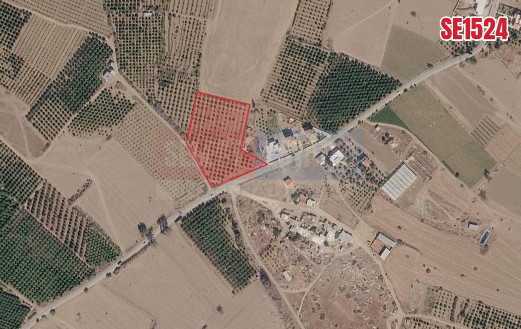 Residential Development Land Güzelyurt, North Cyprus Properties for Sale