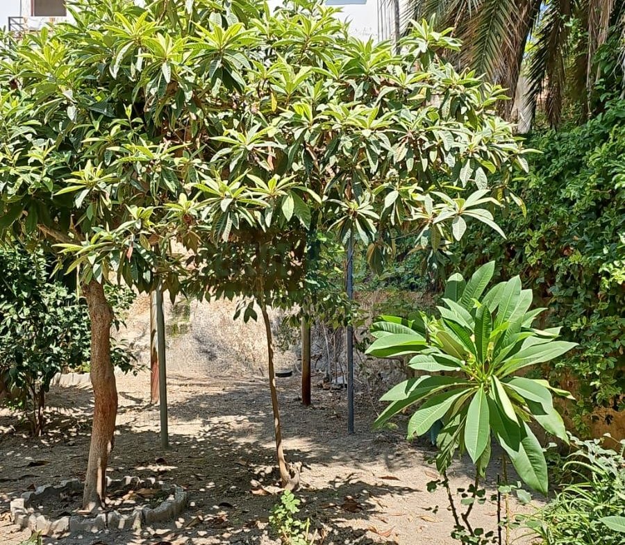 Large Garden Apartment, Kyrenia, North Cyprus Properties for Sale