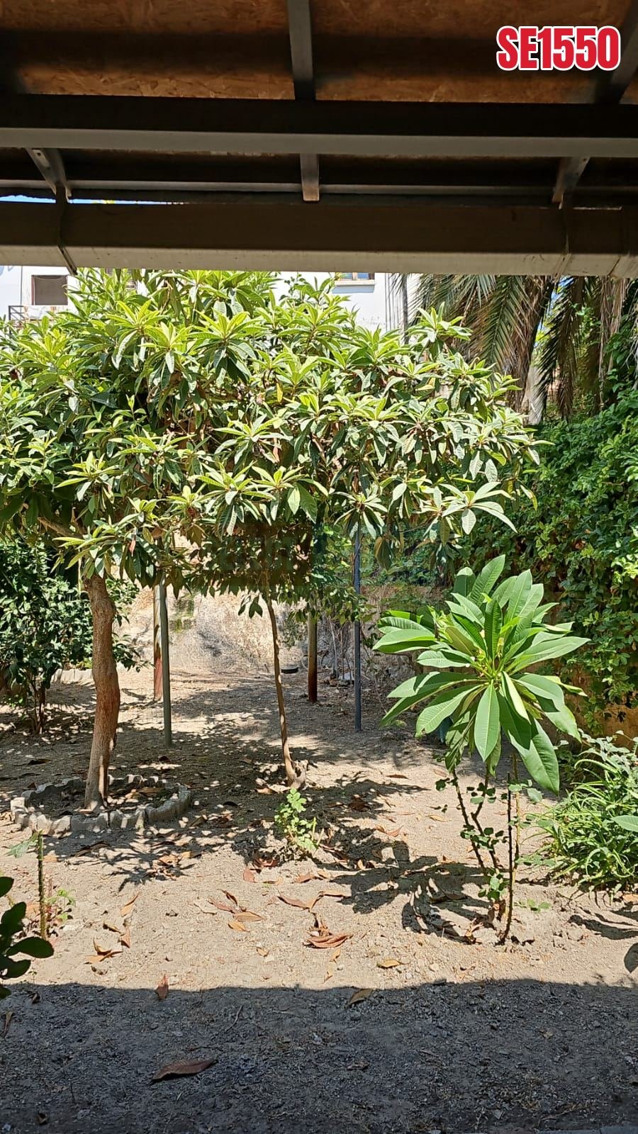 Large Garden Apartment, Kyrenia, North Cyprus Properties for Sale