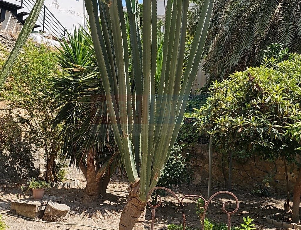 Large Garden Apartment, Kyrenia, North Cyprus Properties for Sale