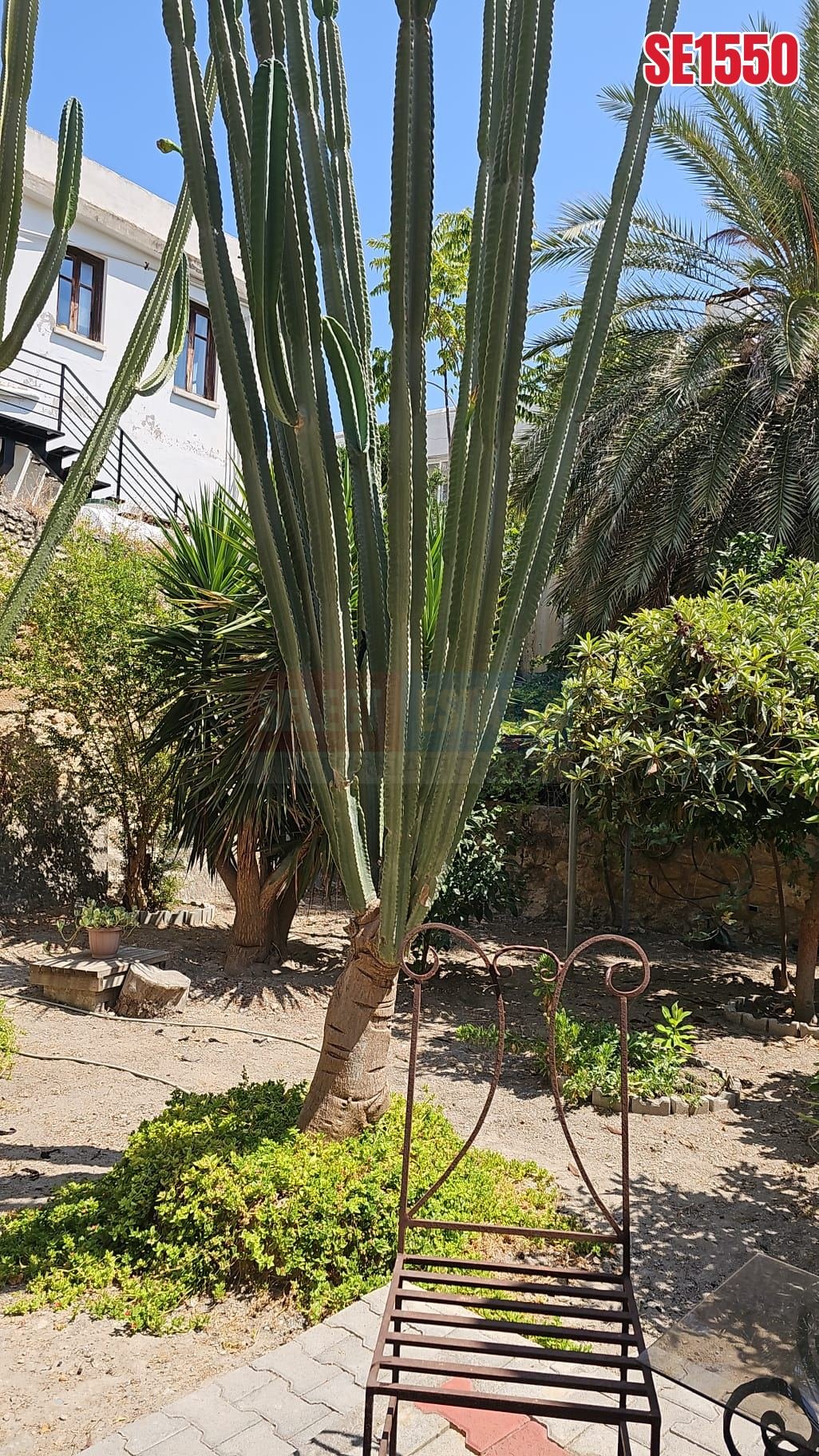 Large Garden Apartment, Kyrenia, North Cyprus Properties for Sale