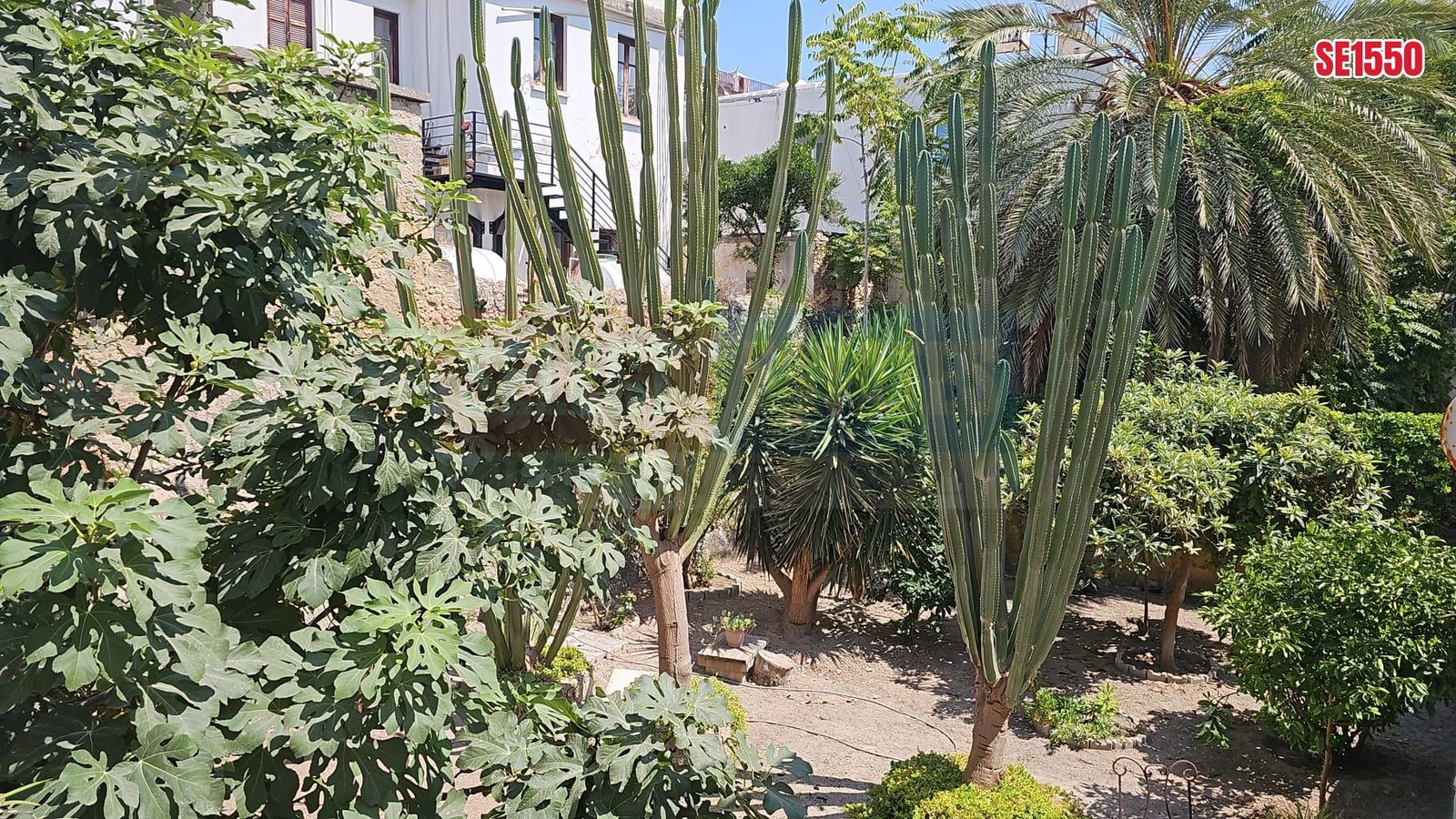Large Garden Apartment, Kyrenia, North Cyprus Properties for Sale