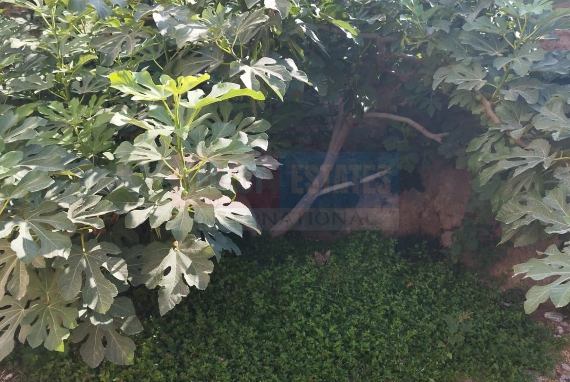 Large Garden Apartment, Kyrenia, North Cyprus Properties for Sale