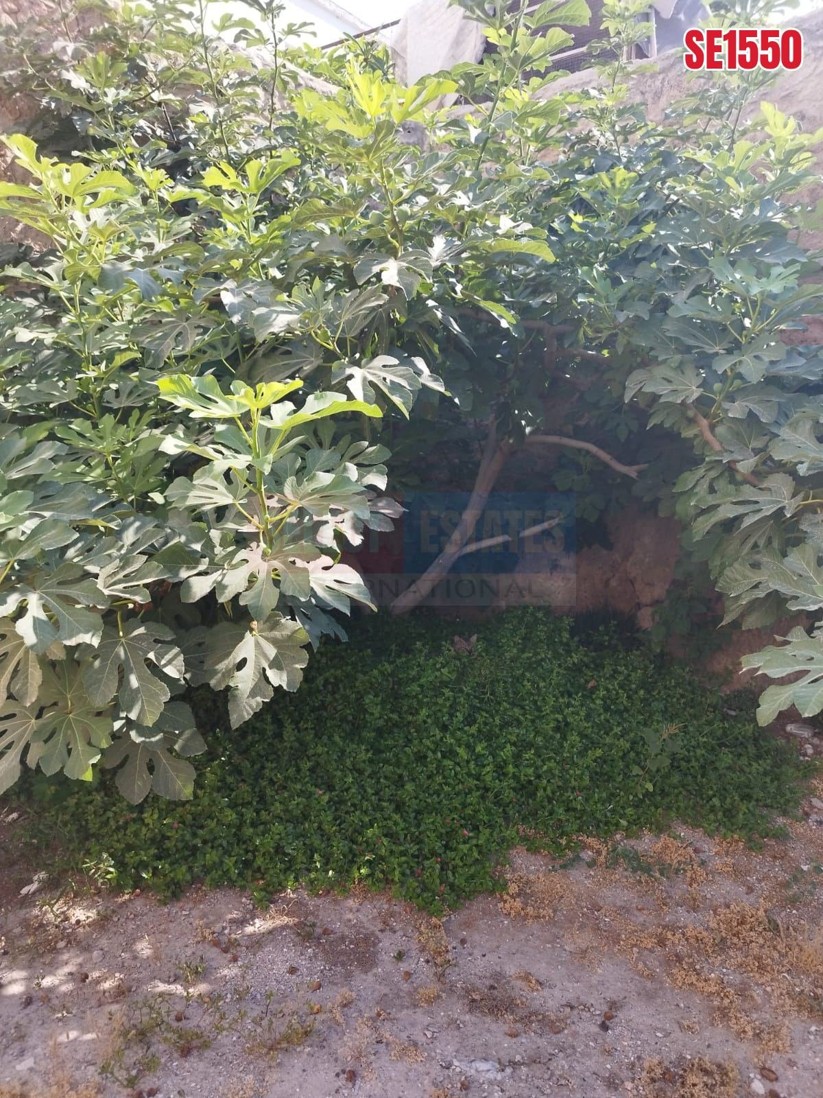 Large Garden Apartment, Kyrenia, North Cyprus Properties for Sale