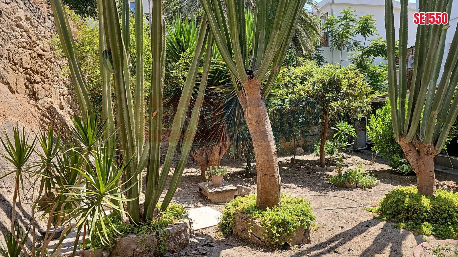 Large Garden Apartment, Kyrenia, North Cyprus Properties for Sale