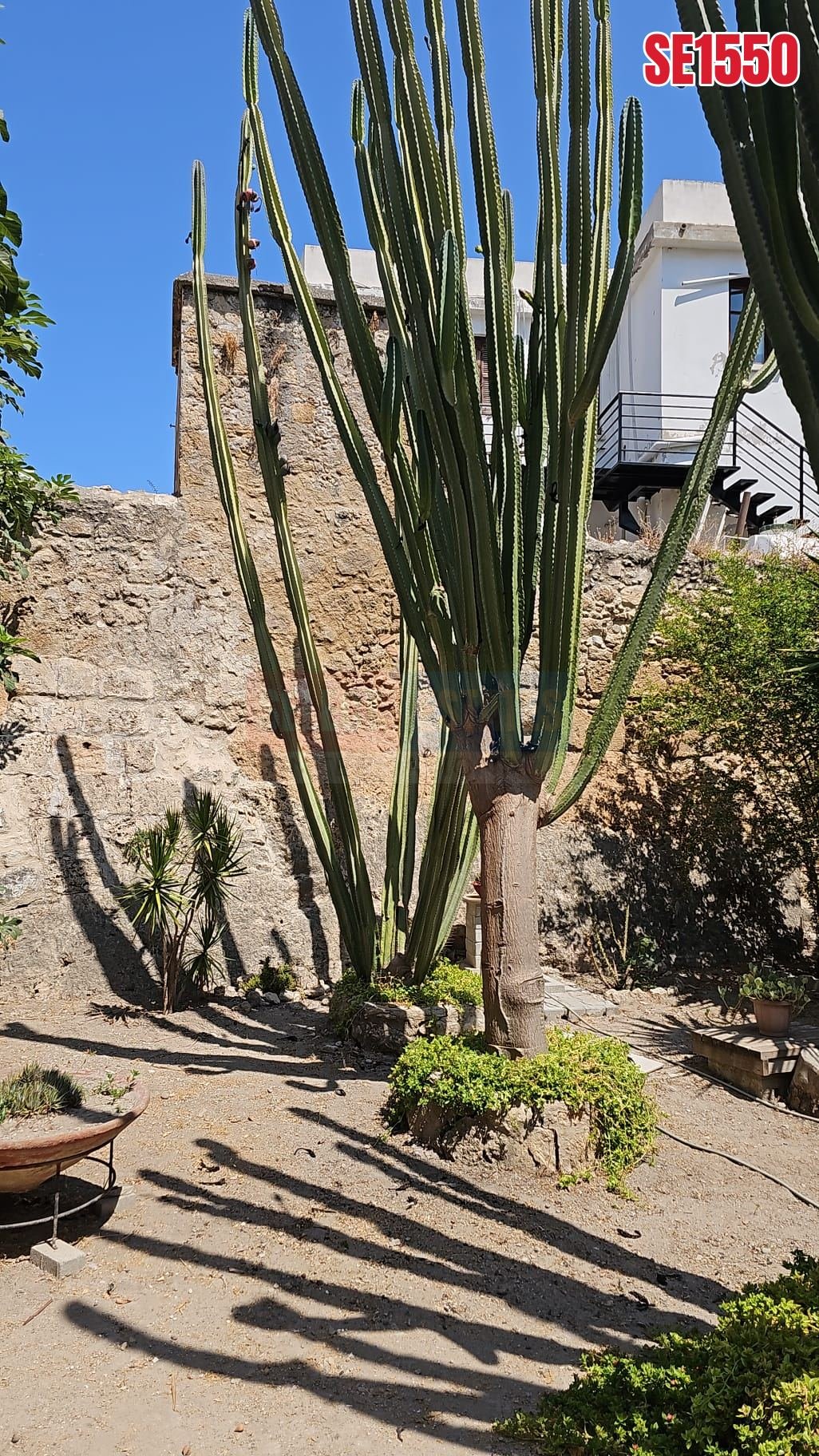 Large Garden Apartment, Kyrenia, North Cyprus Properties for Sale