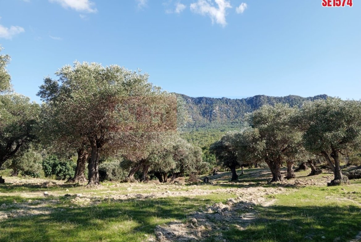 Sea View Land, Karaagac, North Cyprus Properties for Sale