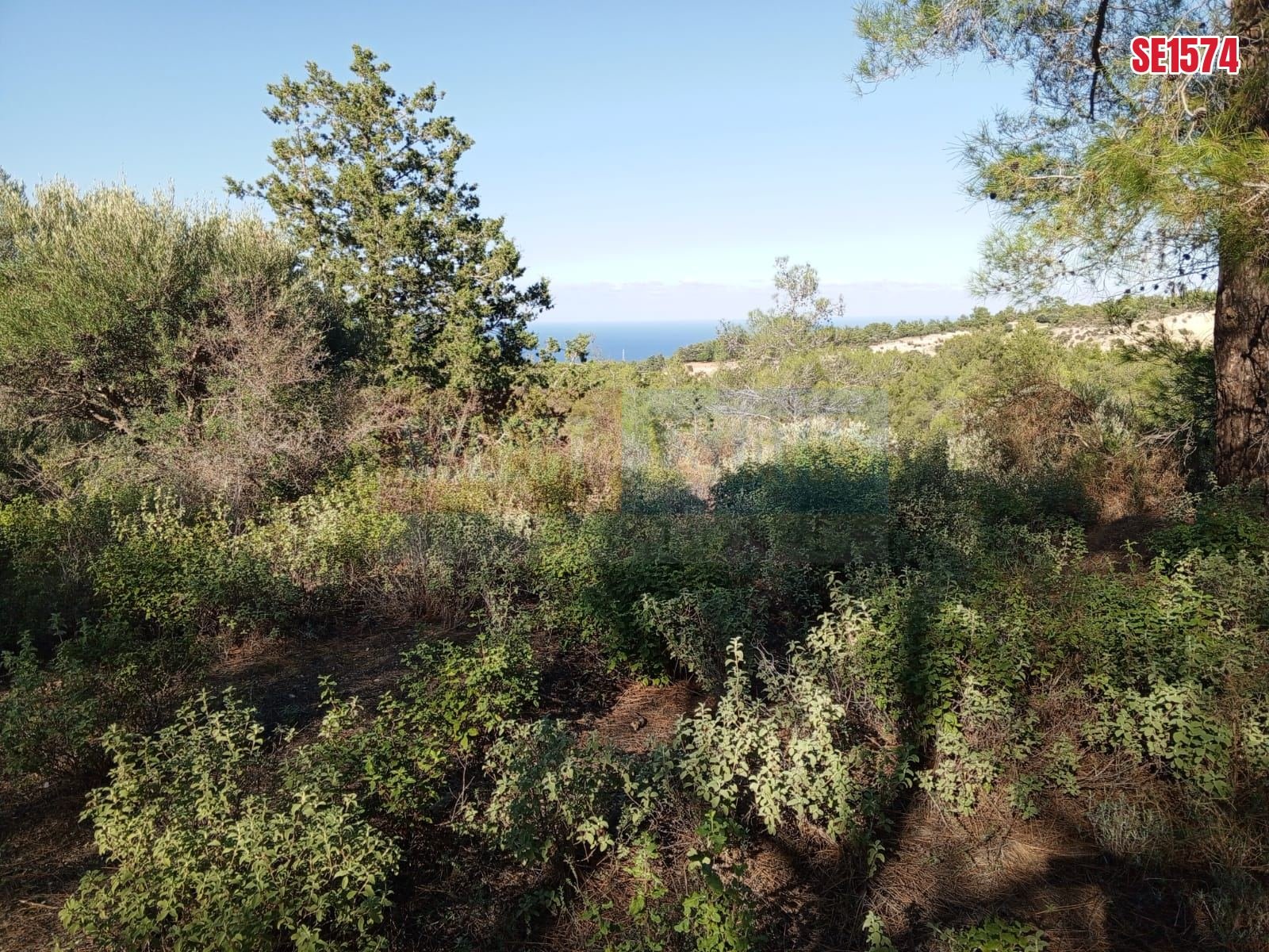 SE1574_61208ab2db8a Sea View Land, Karaagac, North Cyprus Properties for Sale