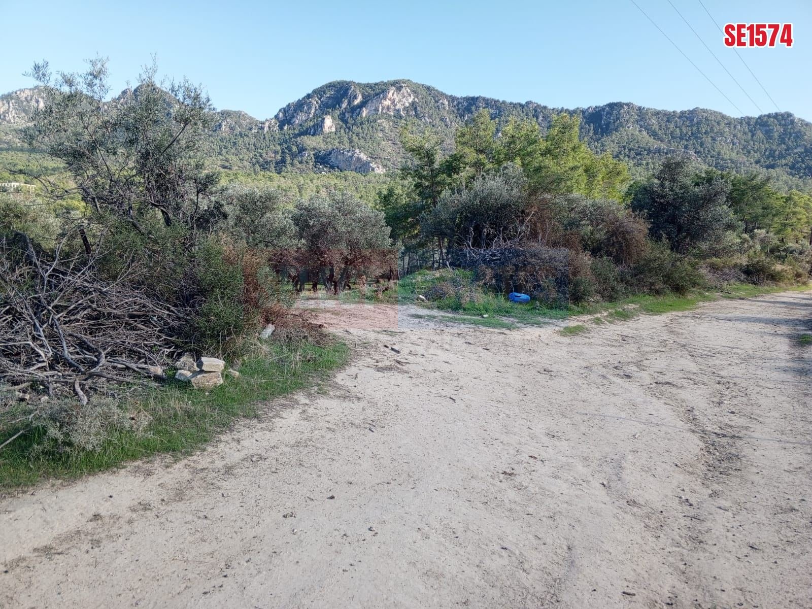 SE1574_c7b2c4130ef4 Sea View Land, Karaagac, North Cyprus Properties for Sale