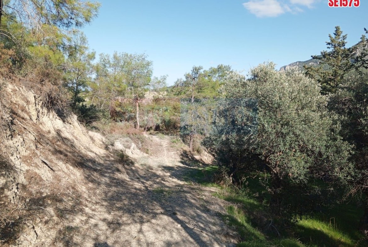 Sea View Land, Karaagac, North Cyprus Properties for Sale