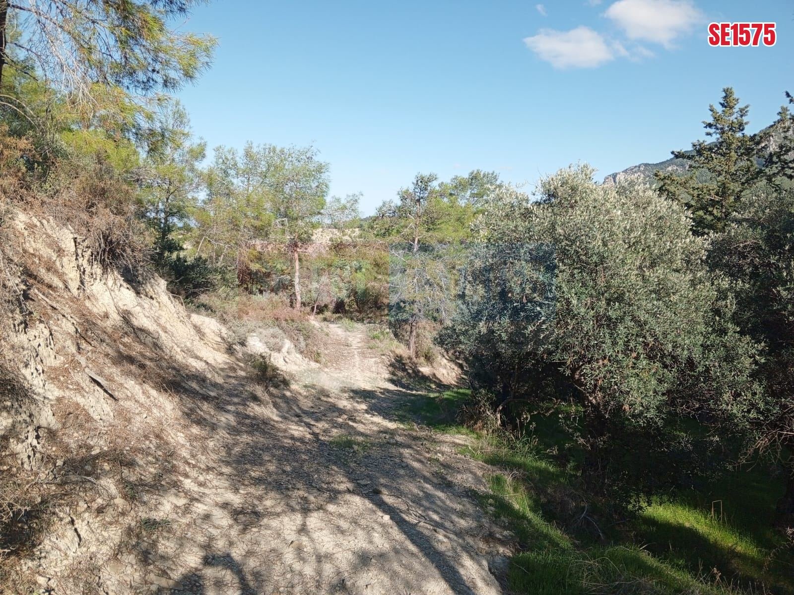 Sea View Land, Karaagac, North Cyprus Properties for Sale