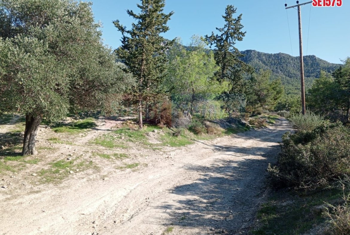 Sea View Land, Karaagac, North Cyprus Properties for Sale