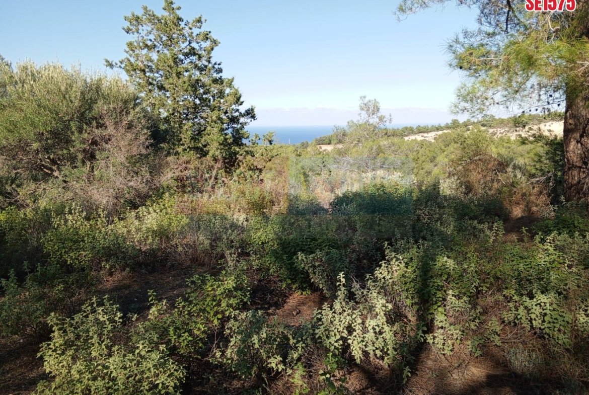 Sea View Land, Karaagac, North Cyprus Properties for Sale