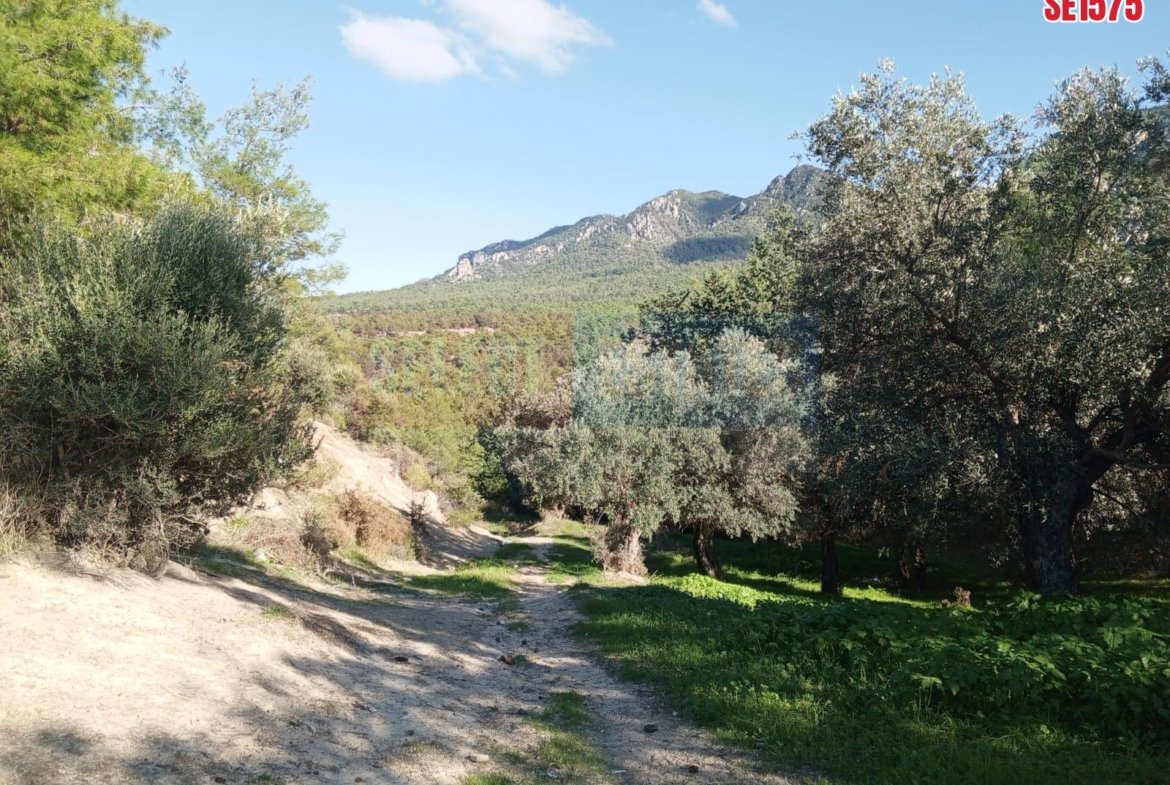 Sea View Land, Karaagac, North Cyprus Properties for Sale