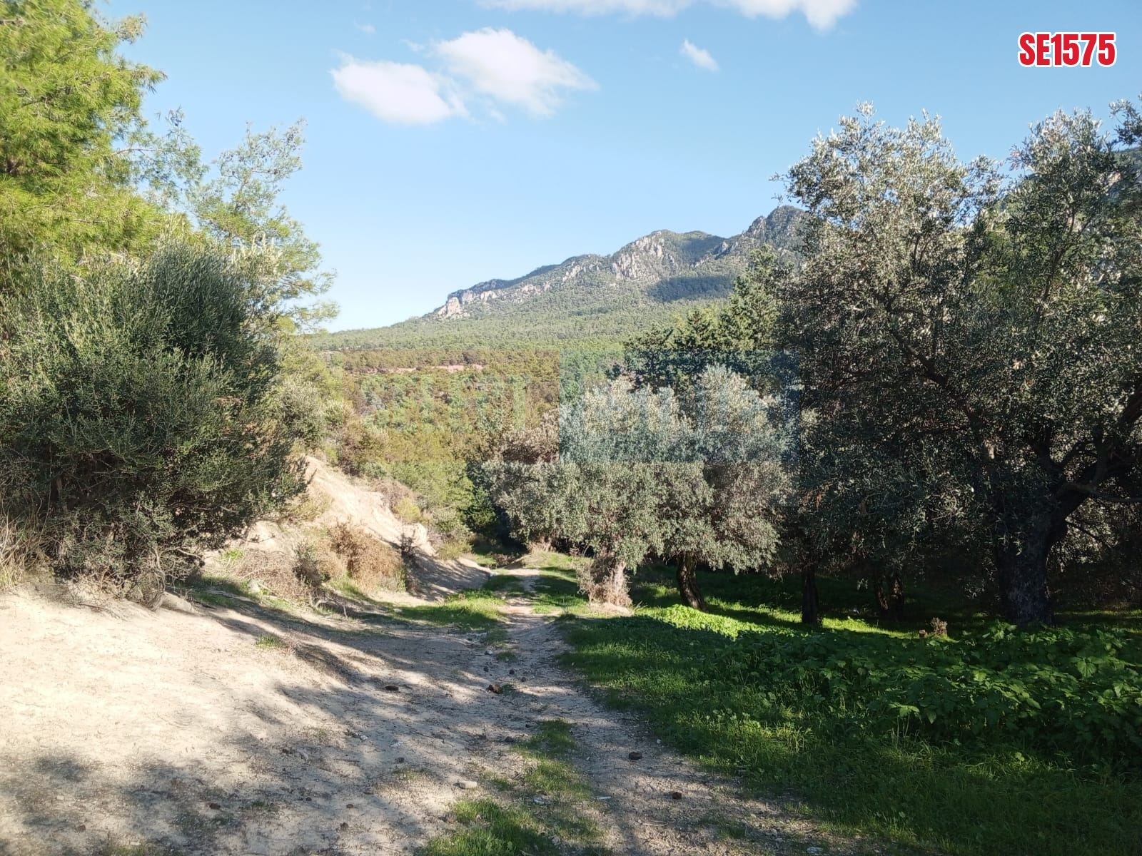 Sea View Land, Karaagac, North Cyprus Properties for Sale