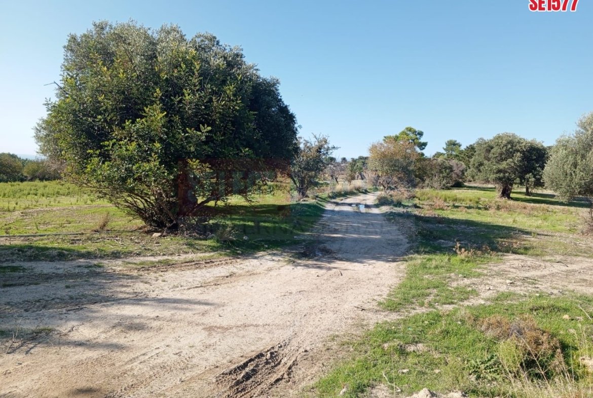 Sea View Land, Karaagac, North Cyprus Properties for Sale