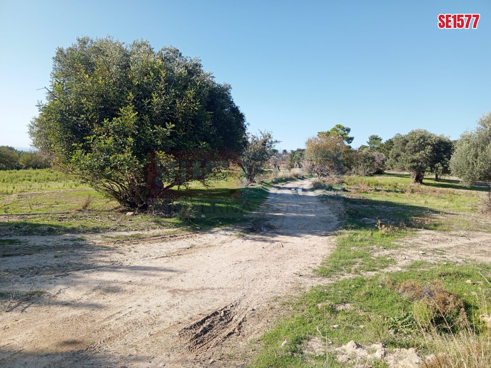 Sea View Land, Karaagac, North Cyprus Properties for Sale