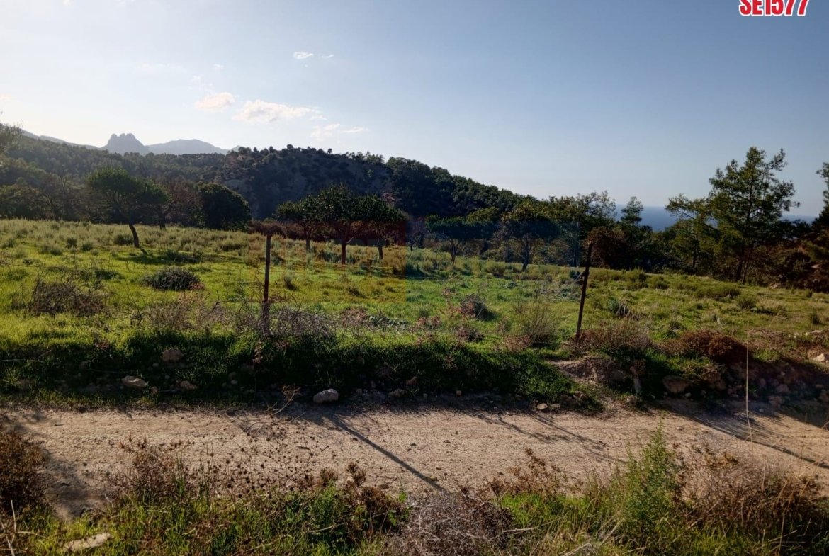 Sea View Land, Karaagac, North Cyprus Properties for Sale