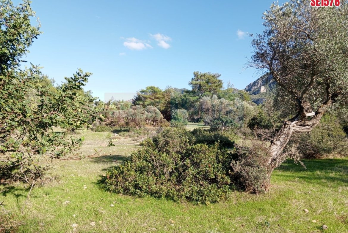 Large Sea View Land, Karaagac, North Cyprus Properties for Sale