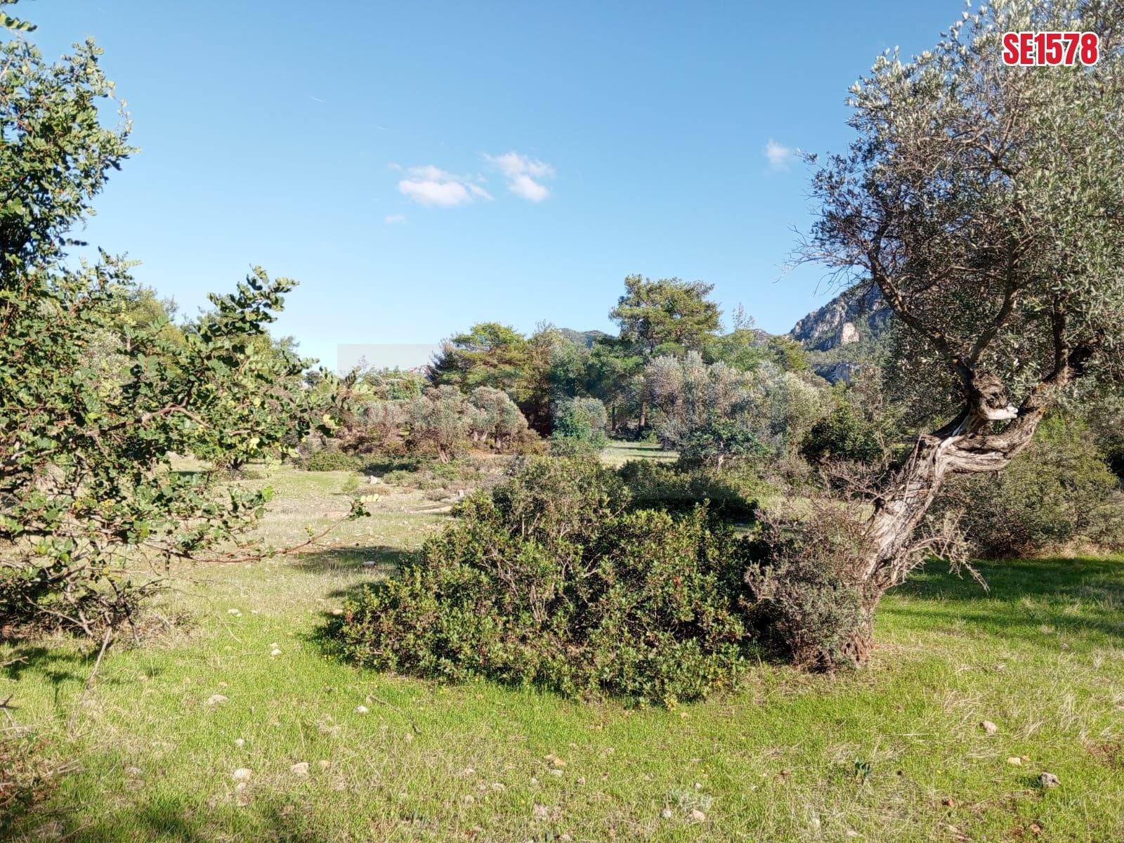 Large Sea View Land, Karaagac, North Cyprus Properties for Sale