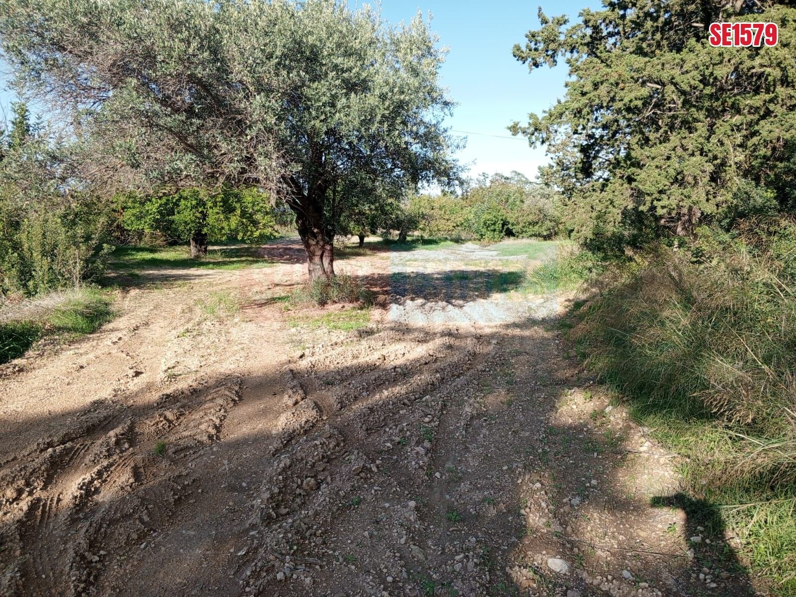 SE1579_6b844c52e492 Sea View Land, Karaagac, North Cyprus Properties for Sale