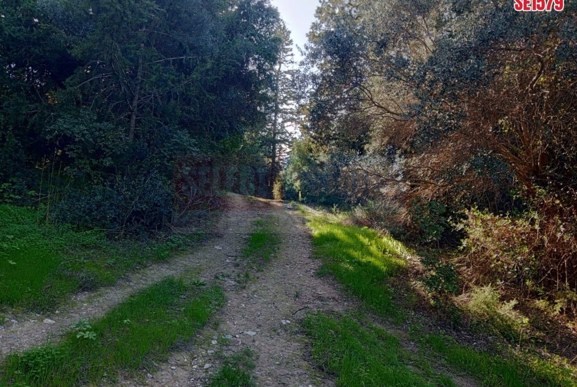 Sea View Land, Karaagac, North Cyprus Properties for Sale