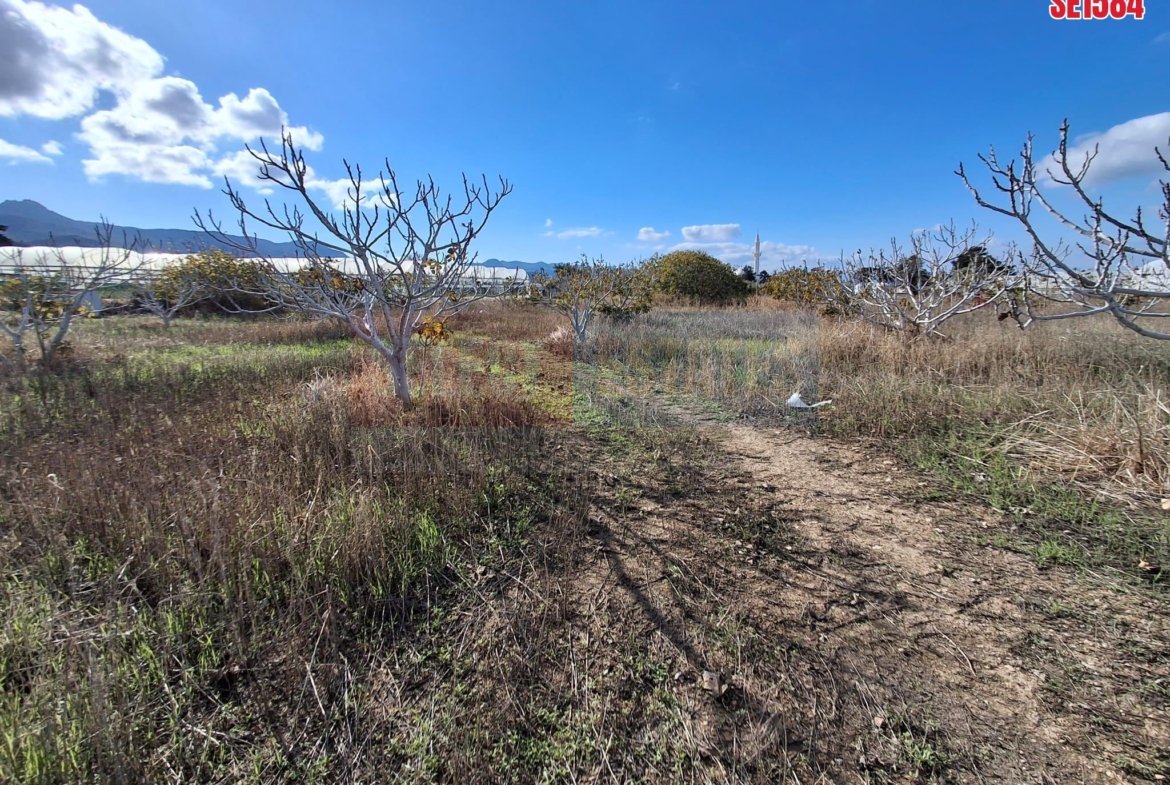 Large Residential Plot, Tatlisu, North Cyprus Properties for Sale