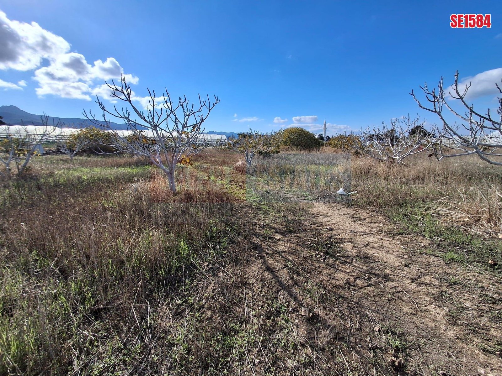 Large Residential Plot, Tatlisu, North Cyprus Properties for Sale
