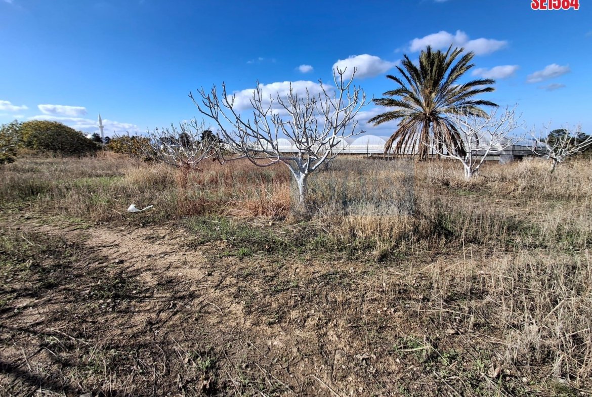 Large Residential Plot, Tatlisu, North Cyprus Properties for Sale