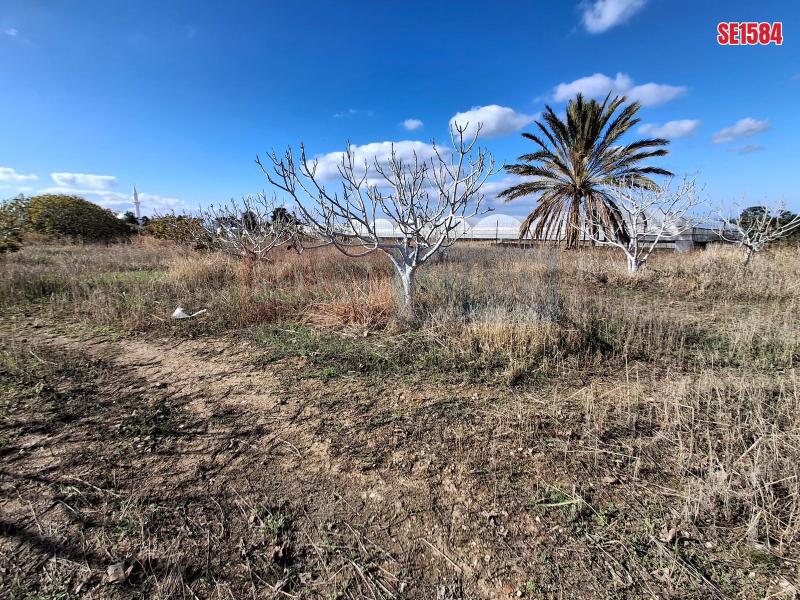 Large Residential Plot, Tatlisu, North Cyprus Properties for Sale